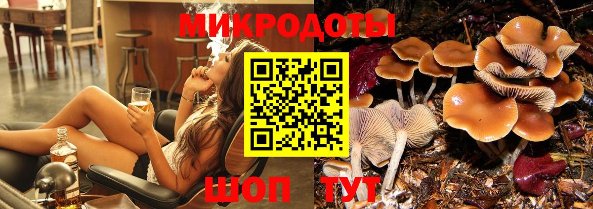 Псилоцибиновые грибы Psilocybine cubensis  Вход с VPN  Троицк 